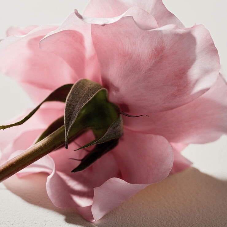 Chloé Eau de Parfum