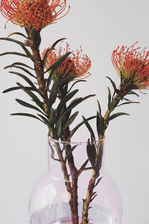 BUBBLE TUBE, LARGE, ROSE/ROSE, 90270R