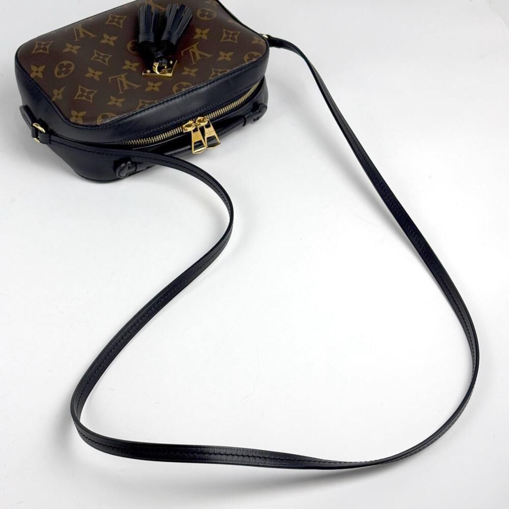 Louis Vuitton Crossbody Bag