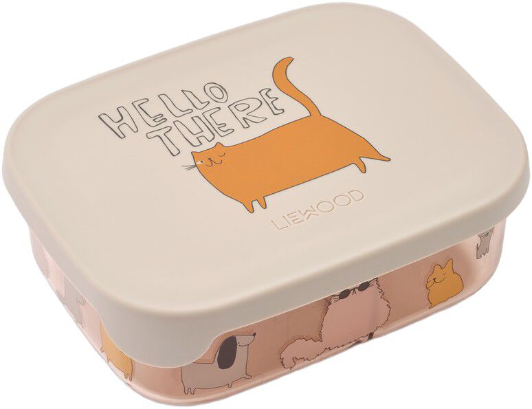 Arthur Tritan Lunchbox