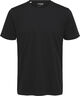 Slhaspen Ss O-Neck Tee Noos