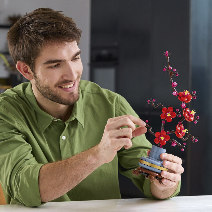 Japansk abrikostræ 10369