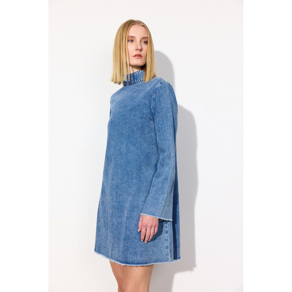 Nala Denim Dress