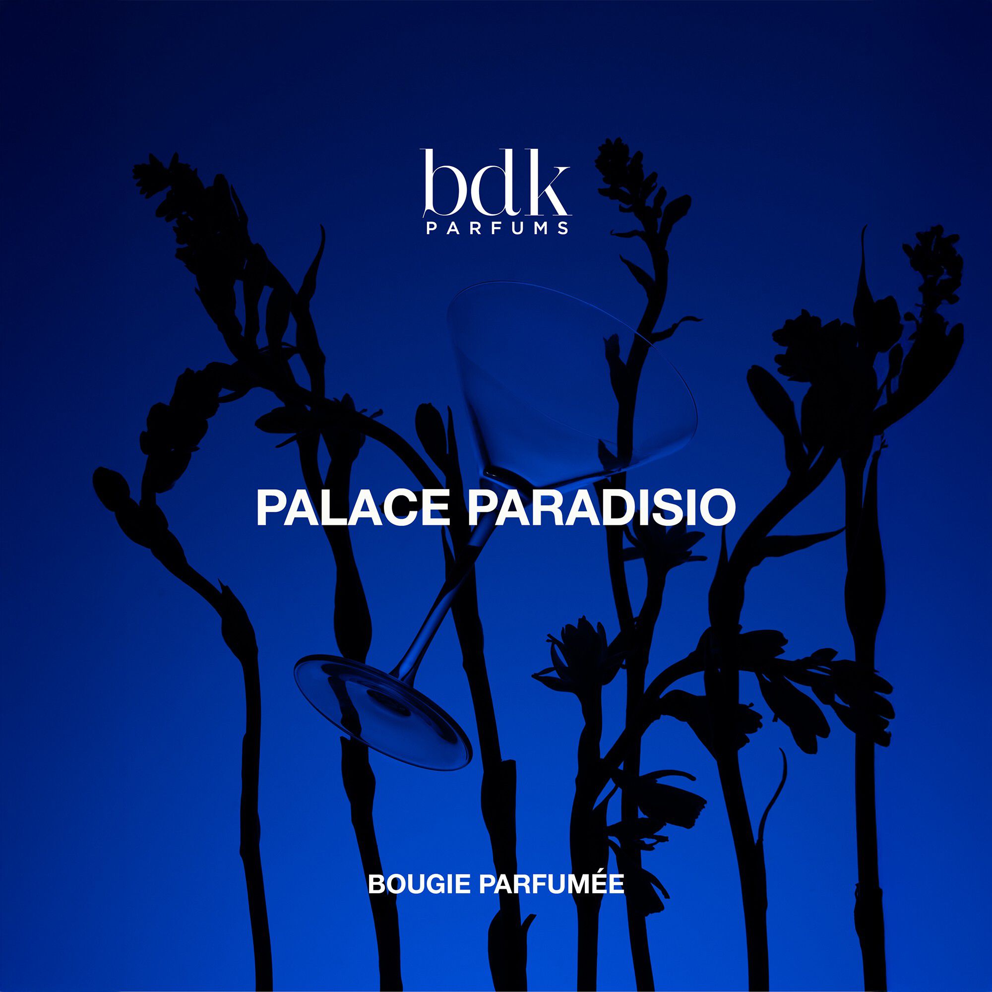 BDK PALACE PARADISIO - BOUGIES 250G
