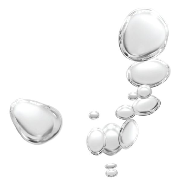 Black Pine Primus 6xHA Wrinkle Smoothing Youth Activator Boo