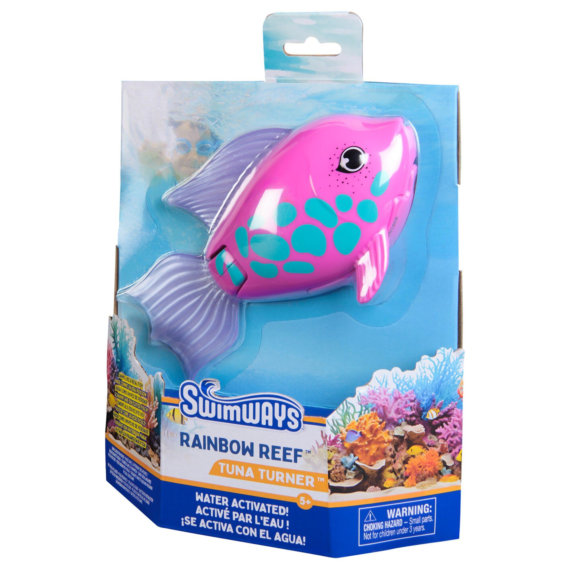 Rainbow Reef Fish - Rainb