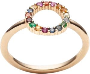 Global Goal #17, Partnership Ring