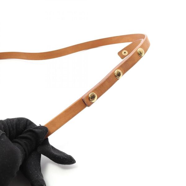 Louis Vuitton Florentine Pochette