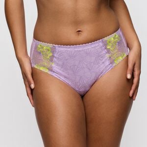 Ixia full briefs