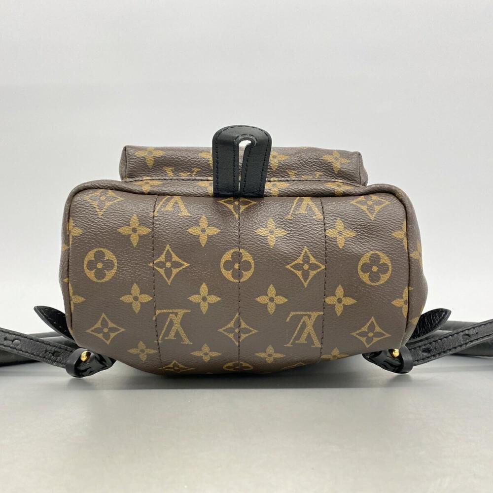Louis Vuitton Palm Springs