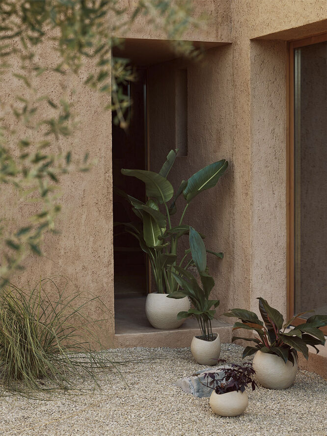 Plantas Planter, H 26, Ivory