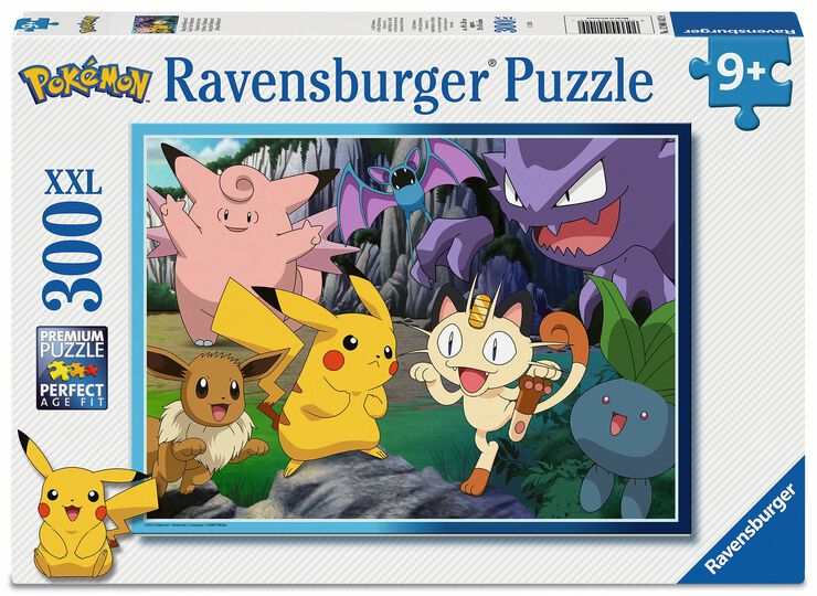 Pokemon 300p