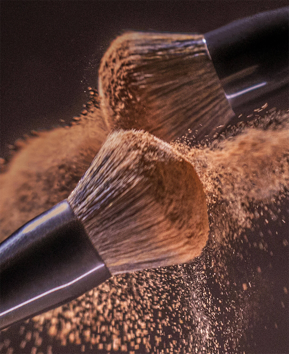 Powder brush - Pinceau Poudre