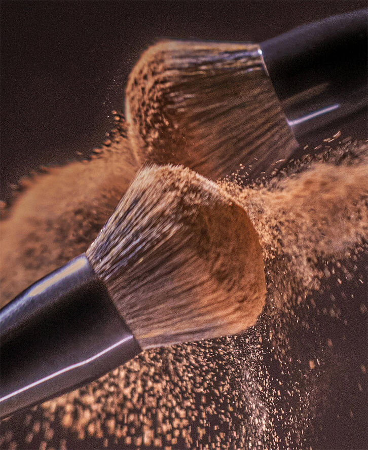 Powder brush - Pinceau Poudre