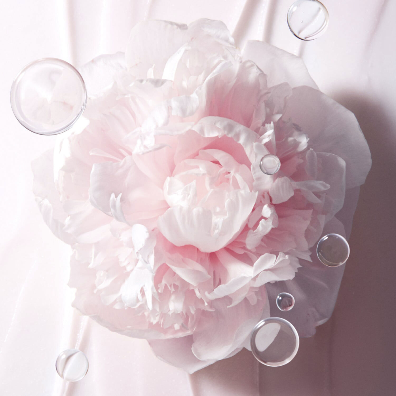 Bouncy & Firm Sleeping Mask - Night Mask