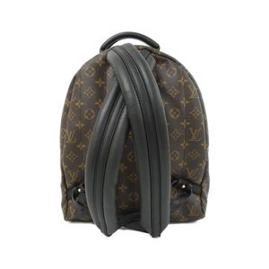 Louis Vuitton Palm Springs