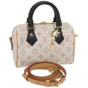 Louis Vuitton Speedy
