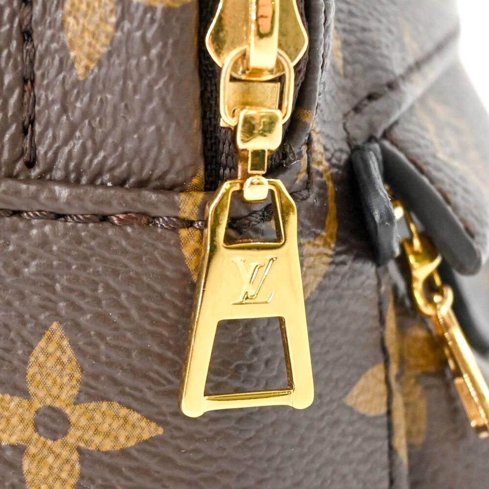 Louis Vuitton Palm Springs