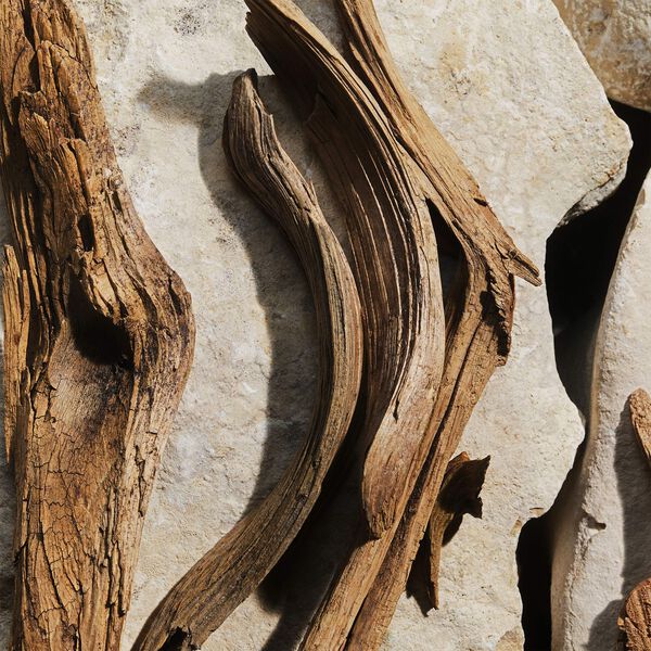 Light Blue Eau de Toilette