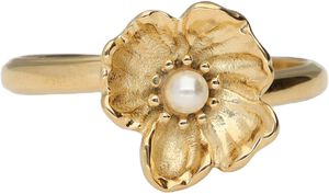 Ring klaproos pearl