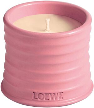 LOEWE Small Ivy Candle