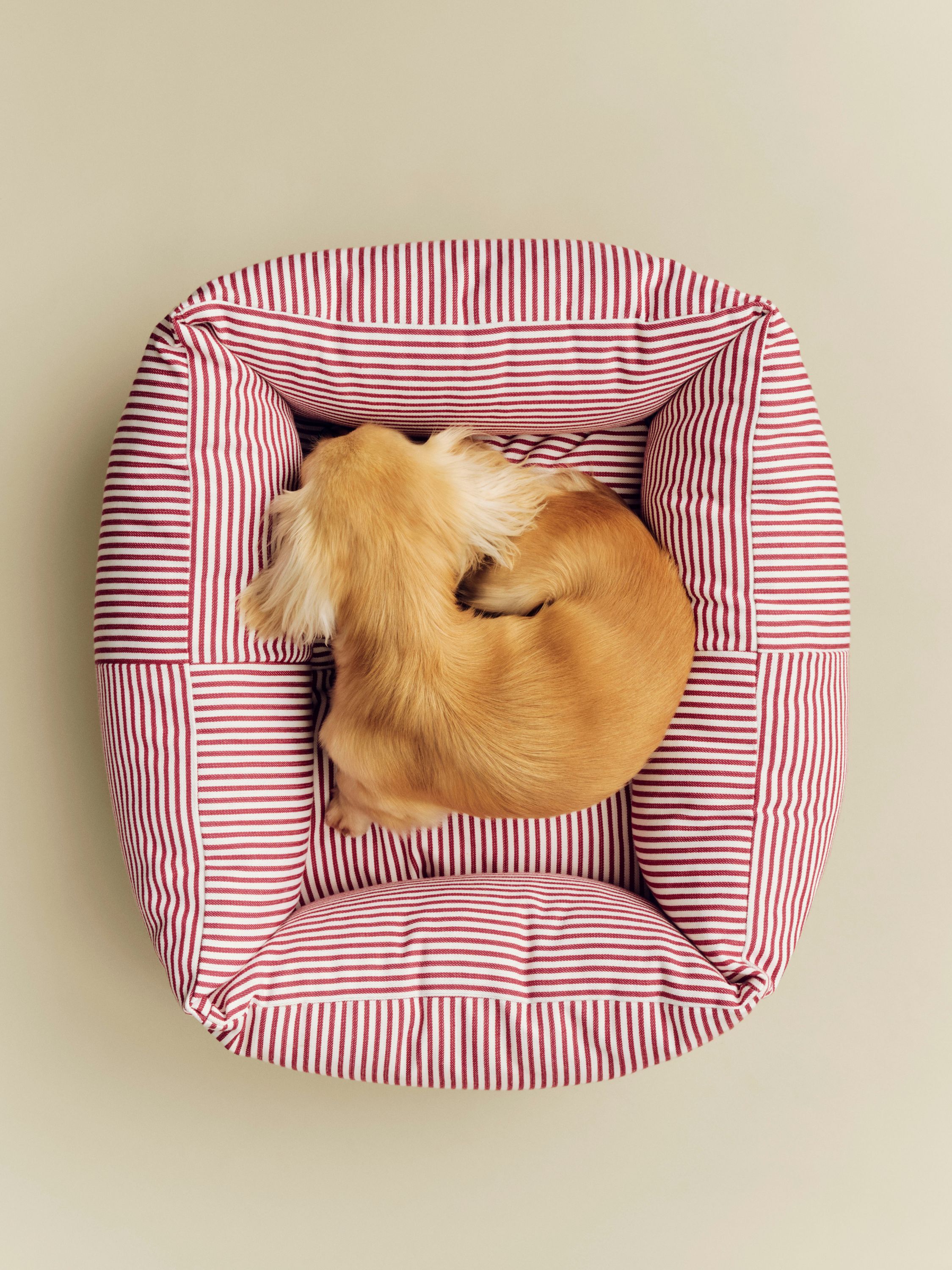 HAY Dogs Bed Zip-X-Small-Red and wh