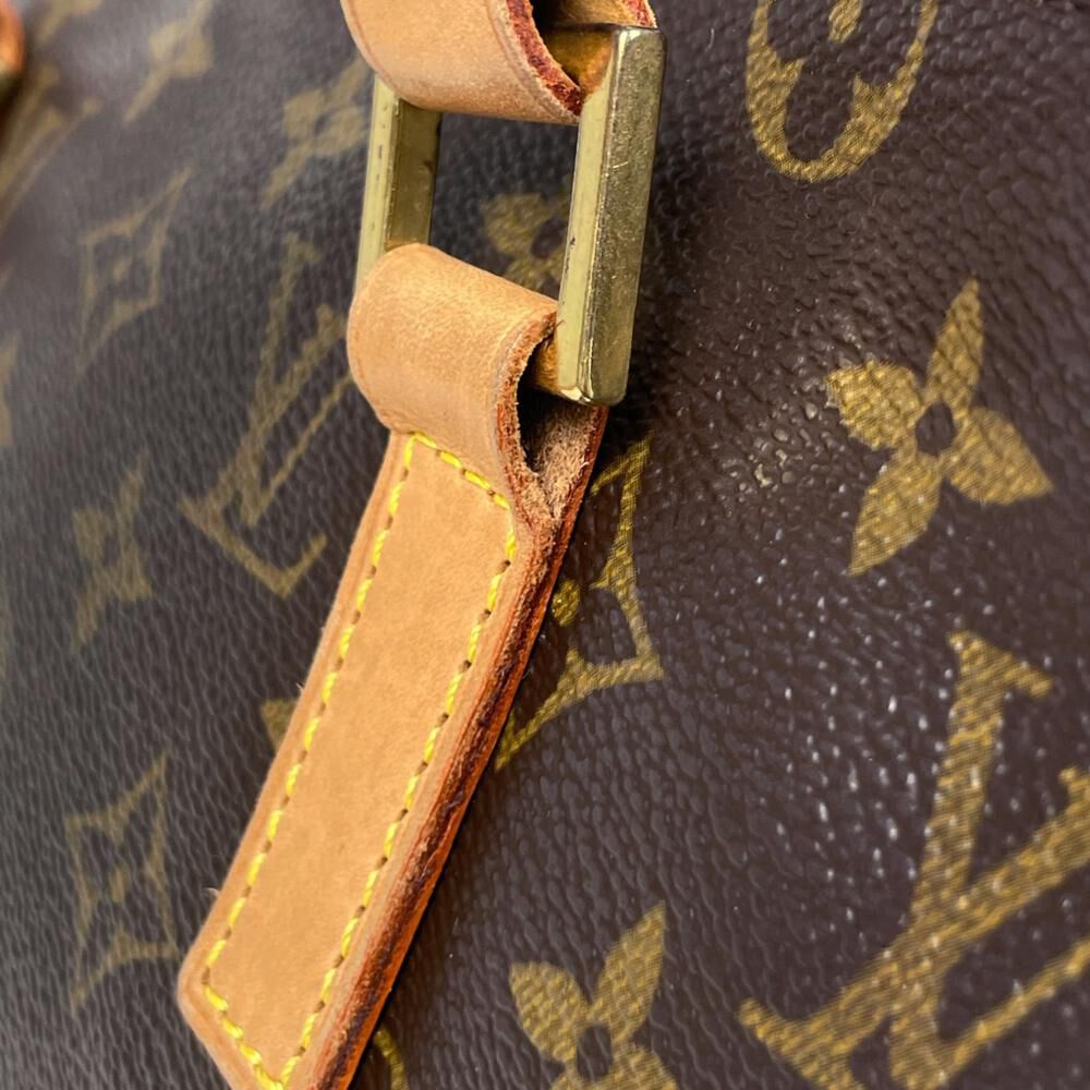 Louis Vuitton Cabas