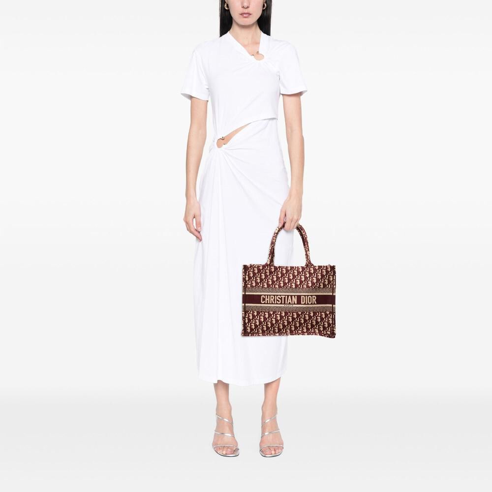 Dior Book Tote