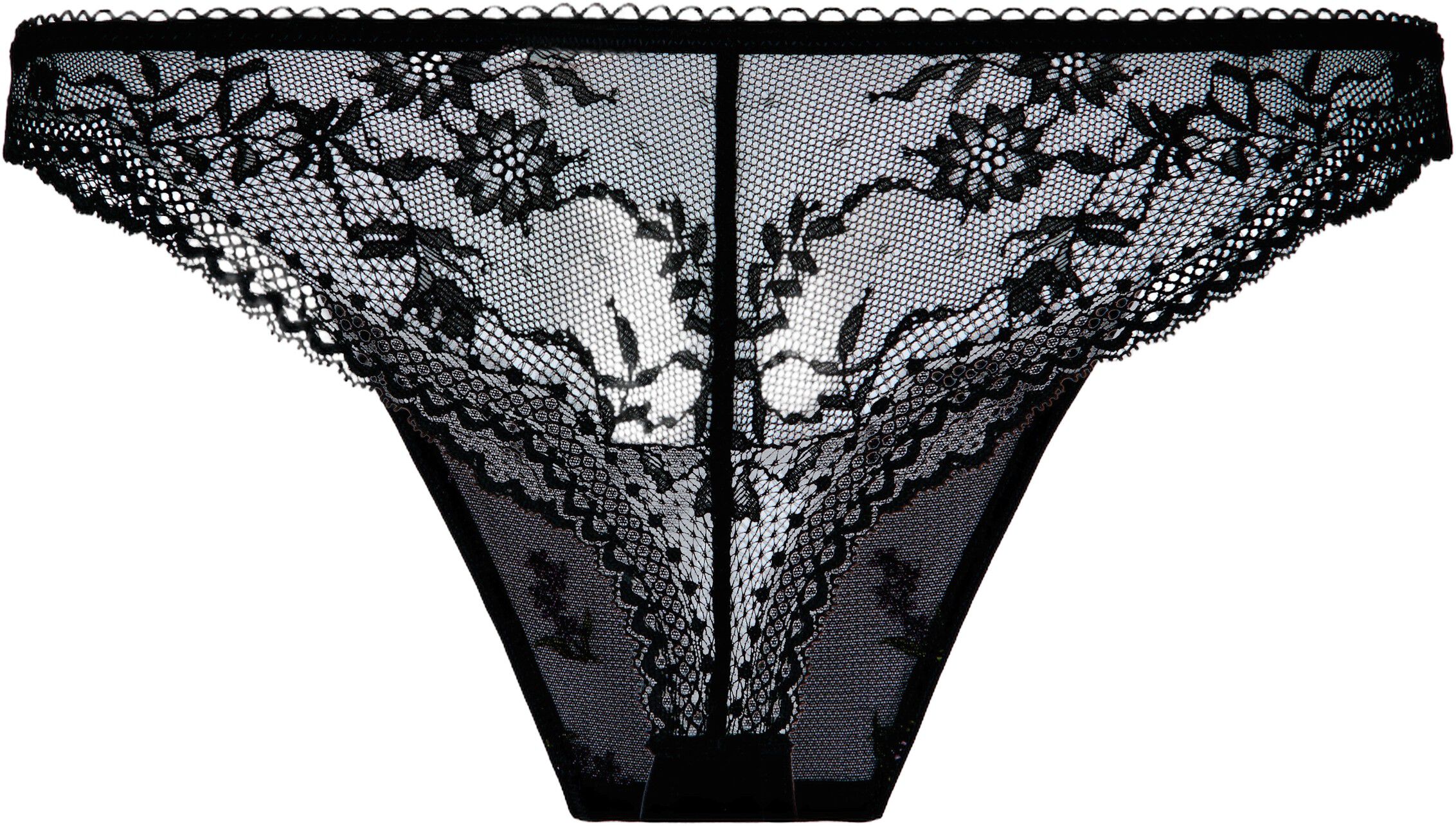 Brazilian Iris