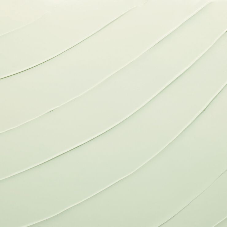 DayWear Anti-Oxidant Cream SPF 15