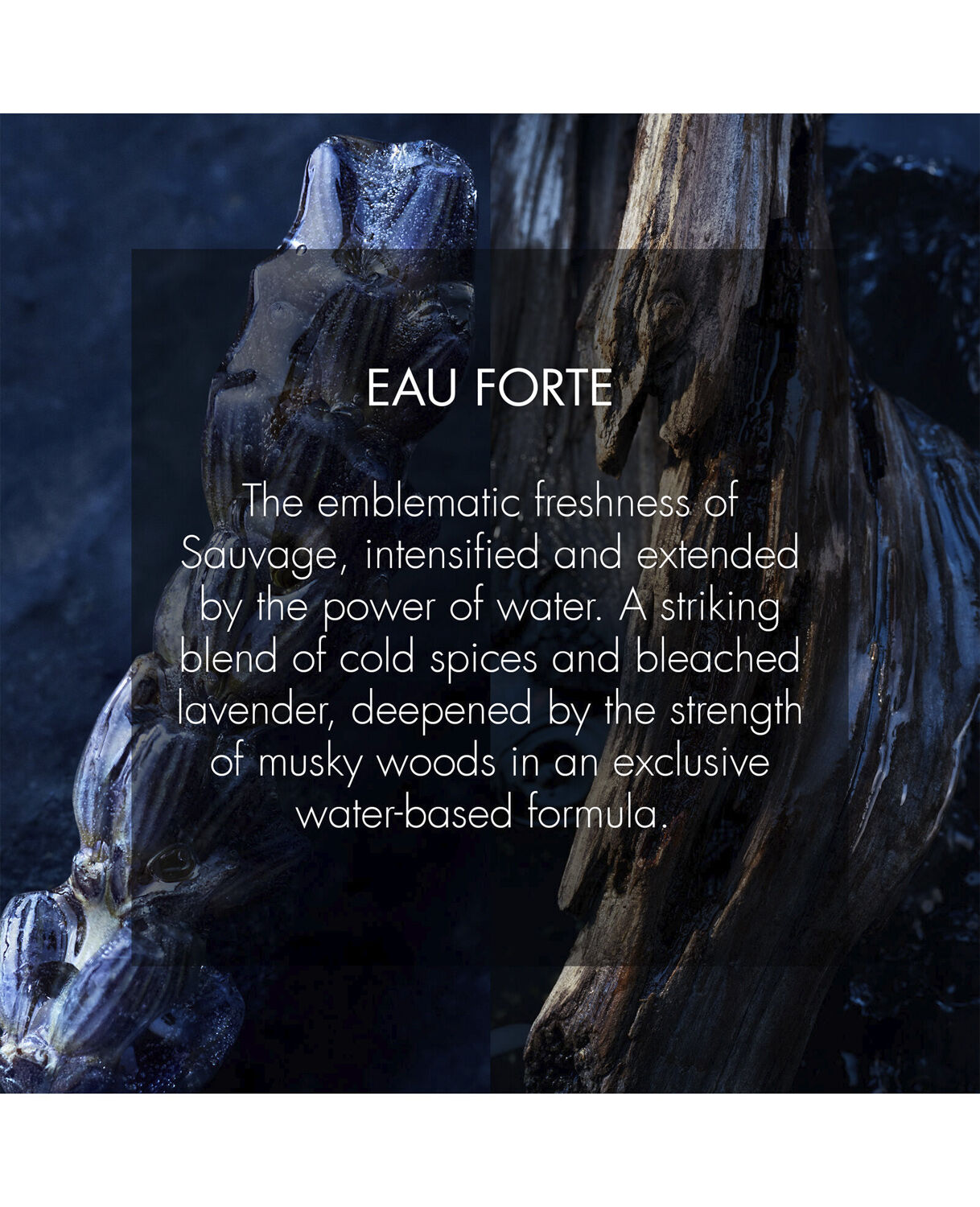 Sauvage Eau Forte Alcohol-Free Fragrance