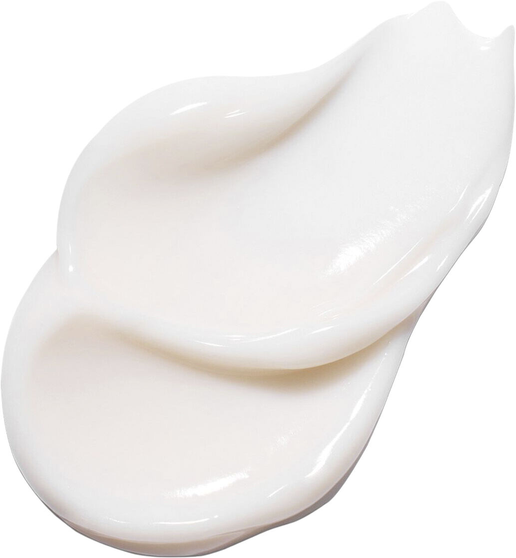 Green Tea Seed Hyaluronic Cream - Hydrating Cream