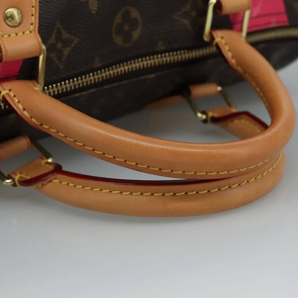 Louis Vuitton Handbag
