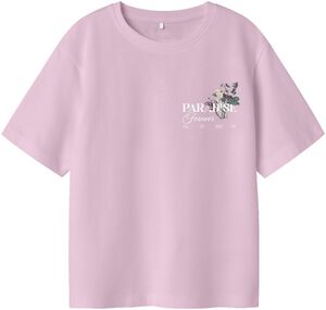 NKFNORLA SS NREG TOP