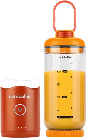 Flex b&aelig;rbar blender NBP013