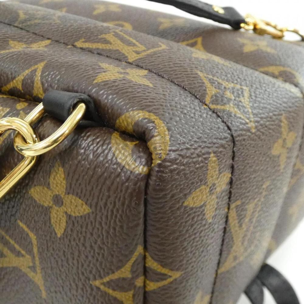 Louis Vuitton Palm Springs