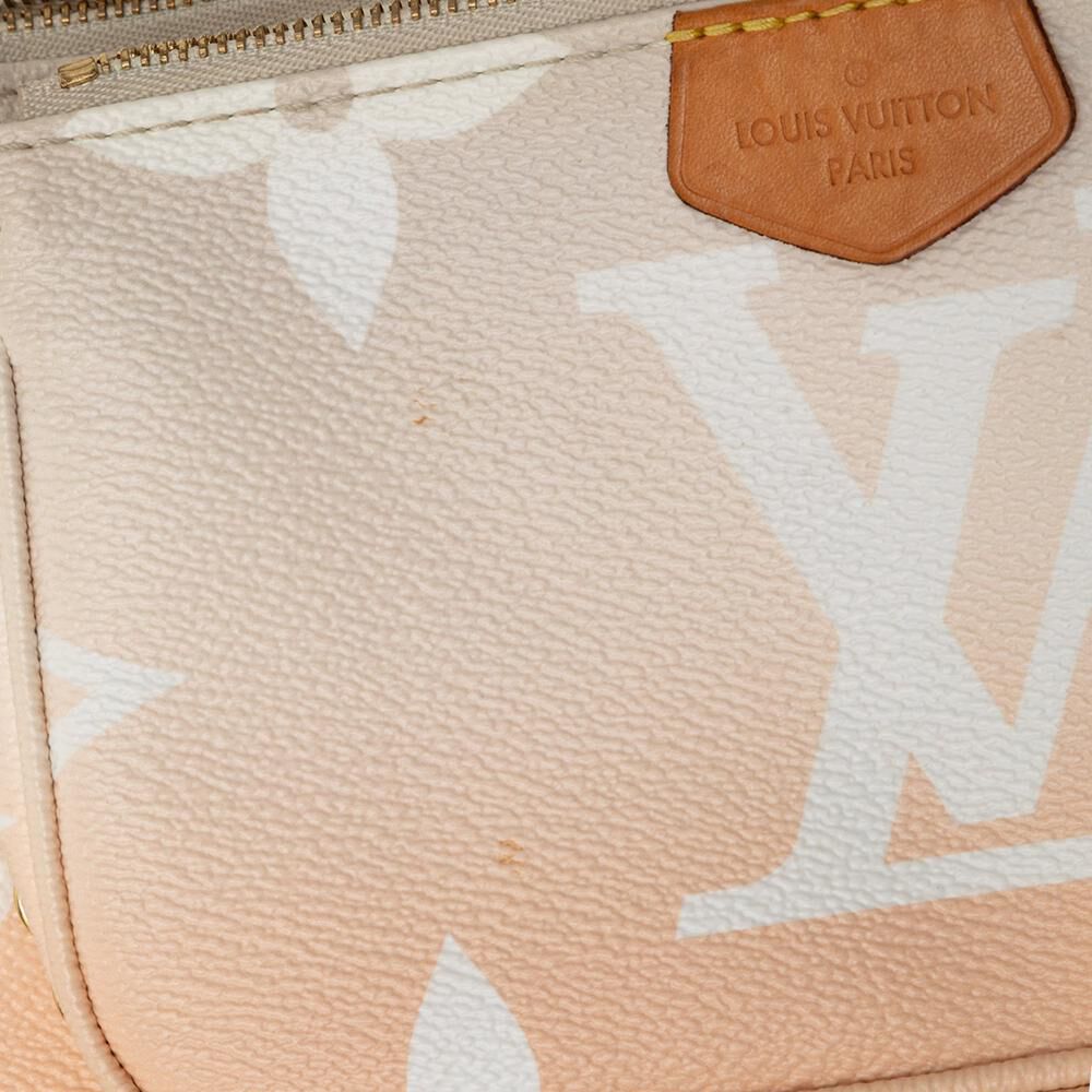 Louis Vuitton Pochette Accessoires