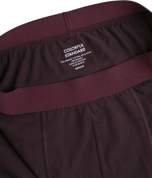 Classic Organic Boxer Briefs
