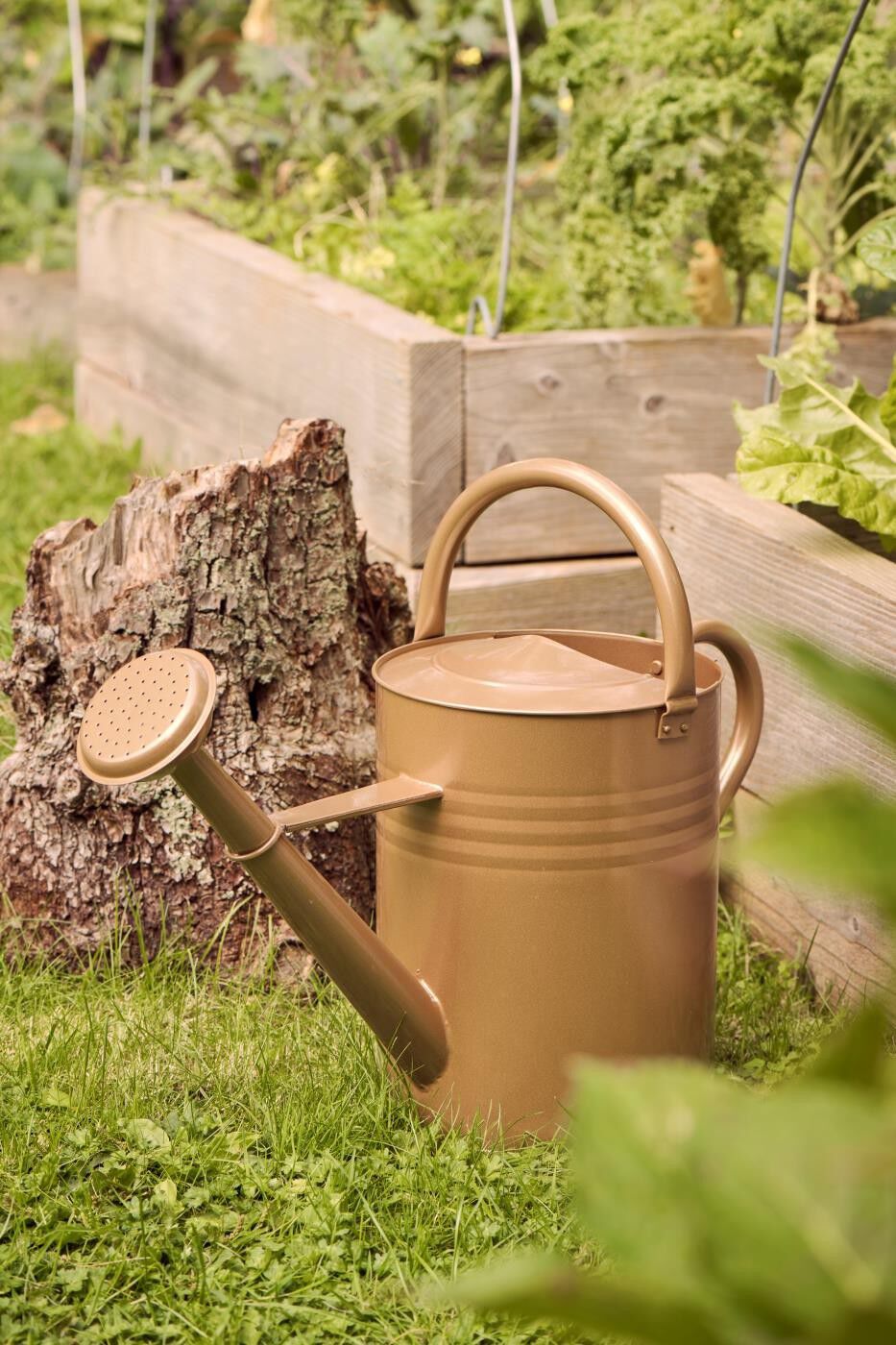 Vandkande m/spreder og 2 hanke brun 11 ltr