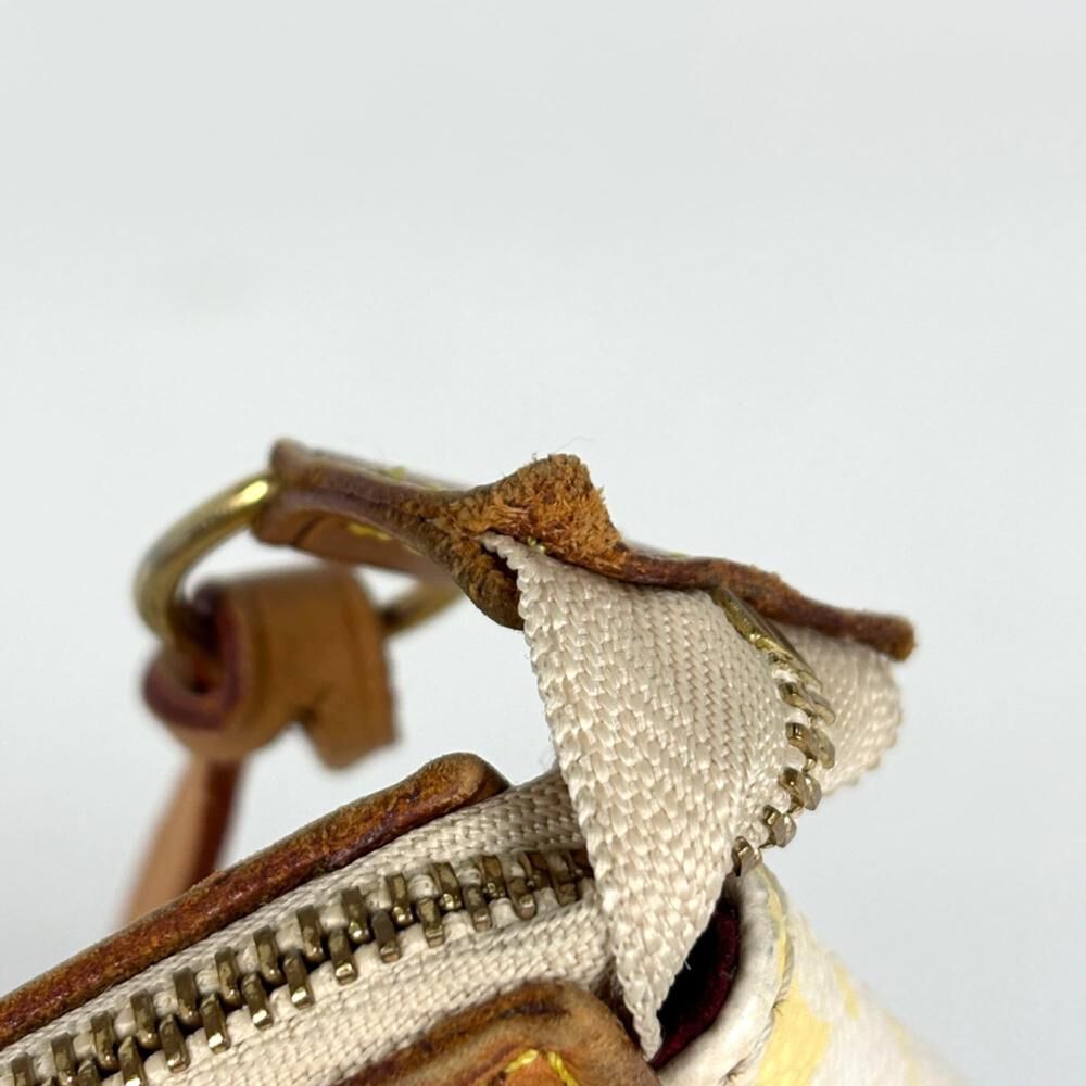 Louis Vuitton Pochette Accessoires