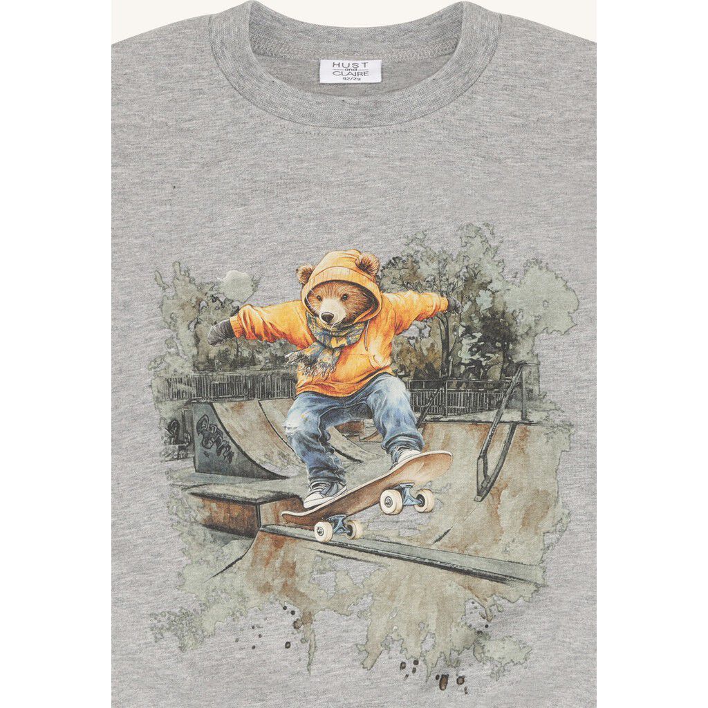 HCSejer Skating Bear