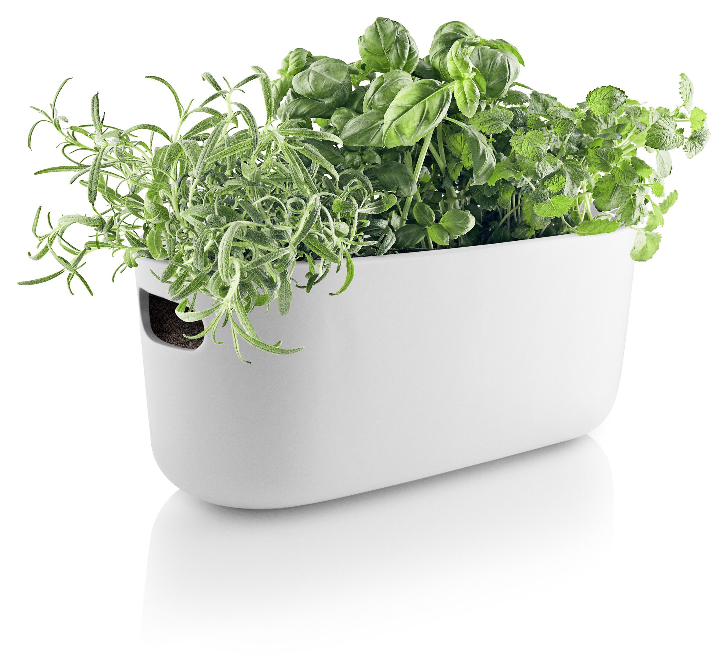 Selvvandende Herb organiser white