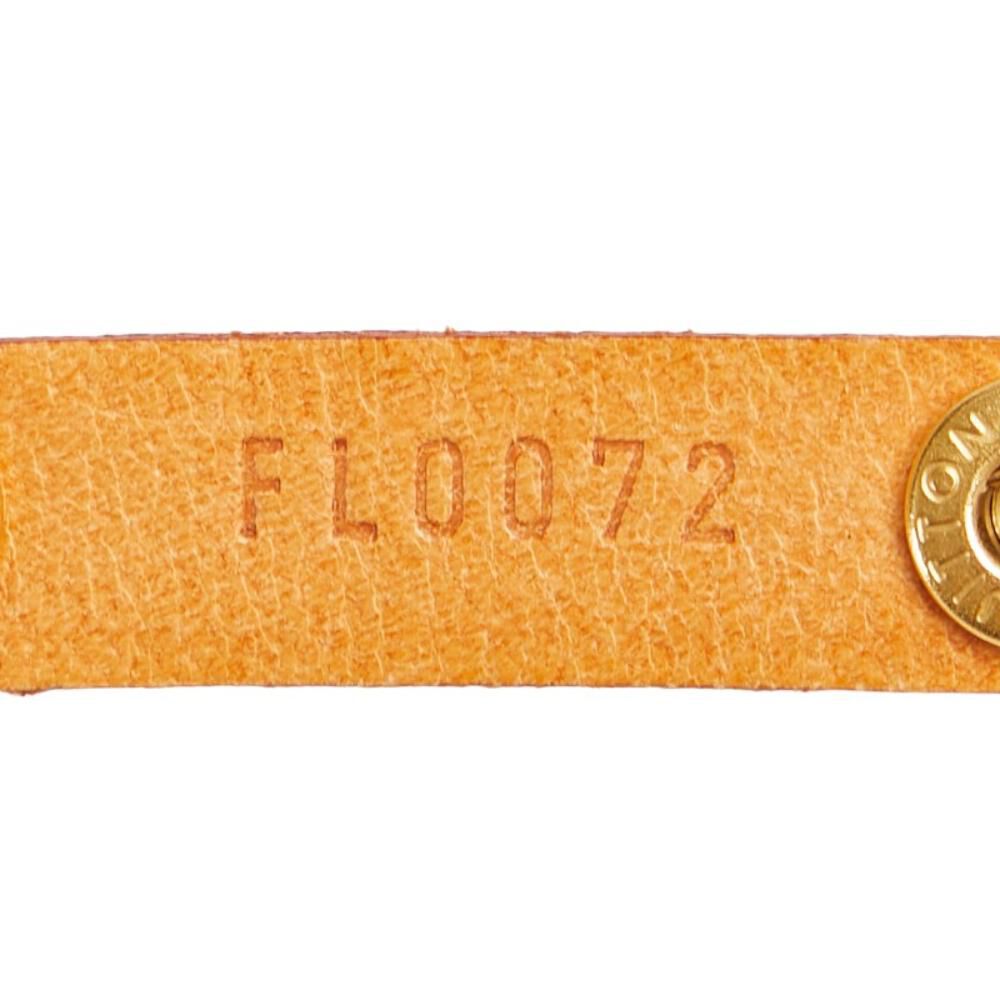 Louis Vuitton Florentine Pochette