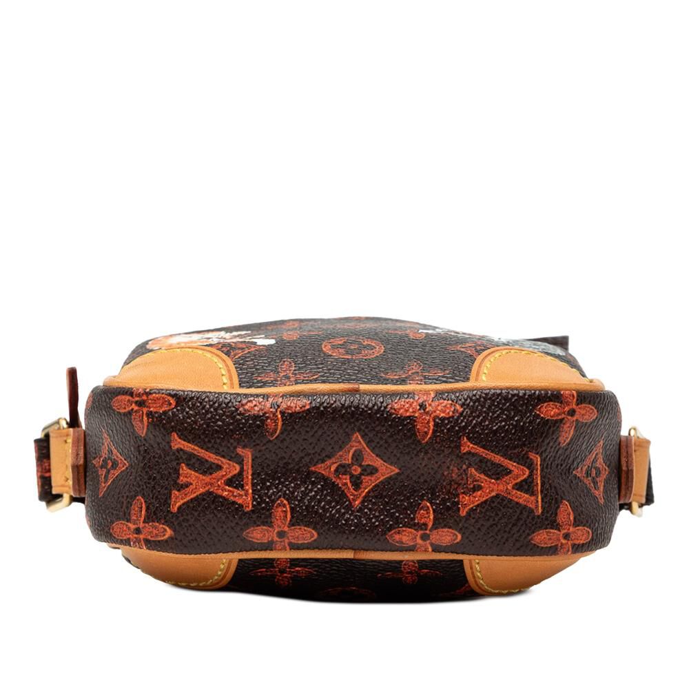 Louis Vuitton Crossbody Bag