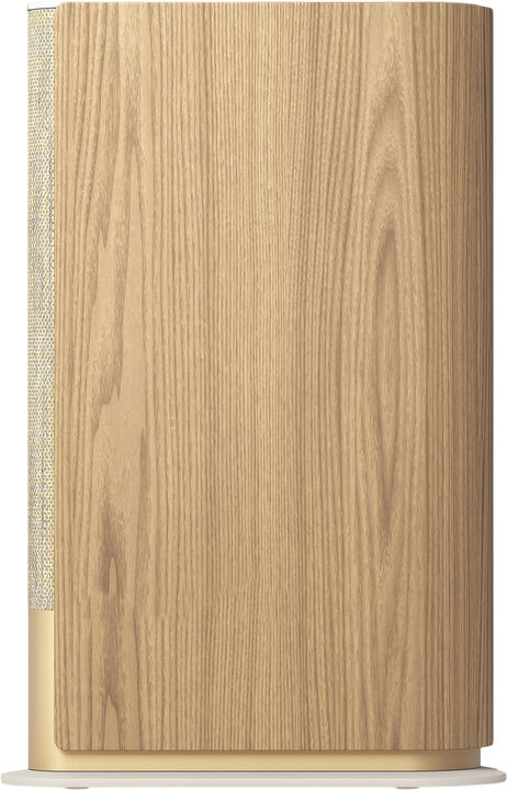 Beosound Emerge Gold Tone