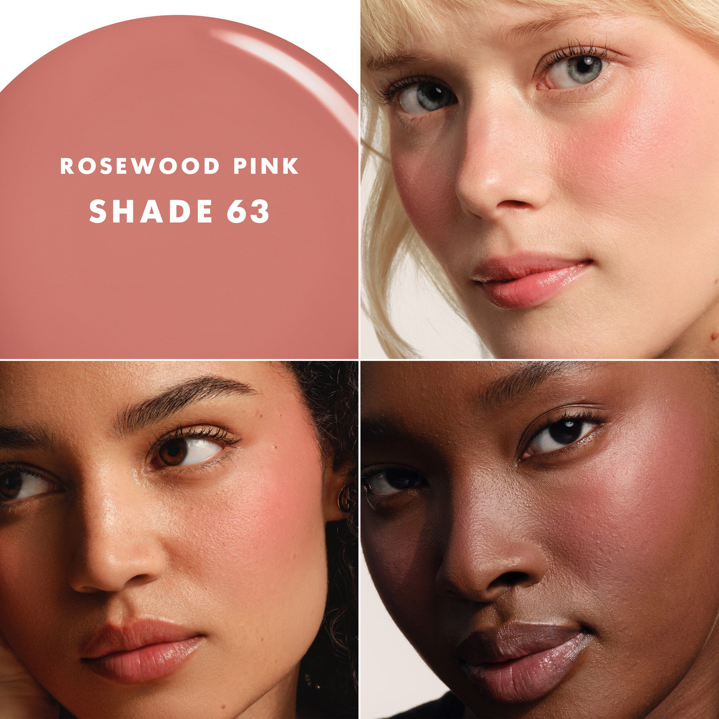 Luminous Silk Cheek Tint Shine 63