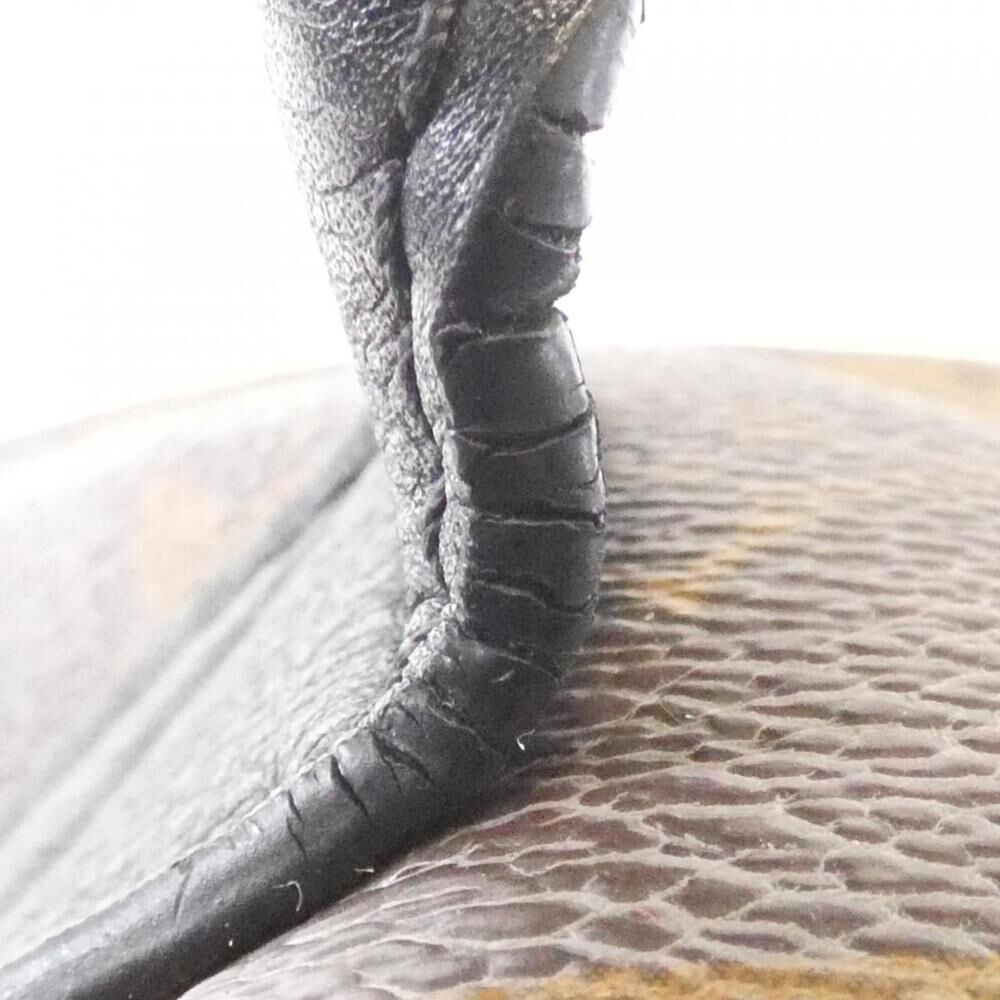 Louis Vuitton Palm Springs