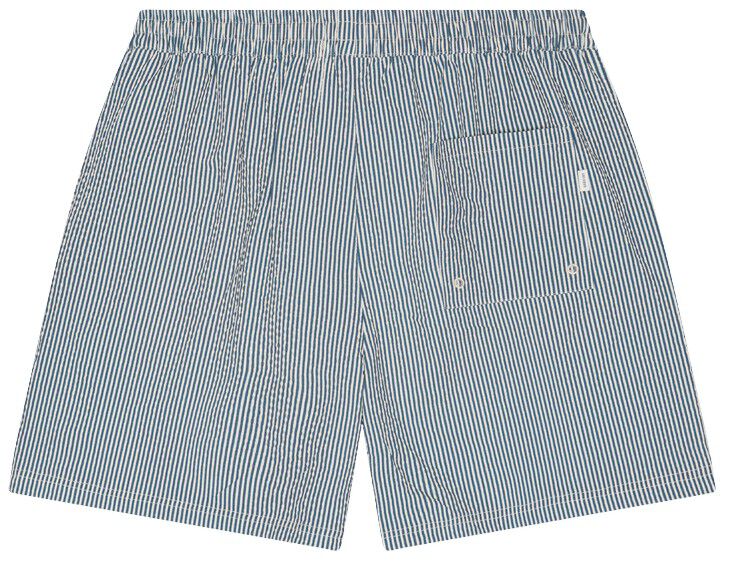 Stripe Seersucker Swim Shorts