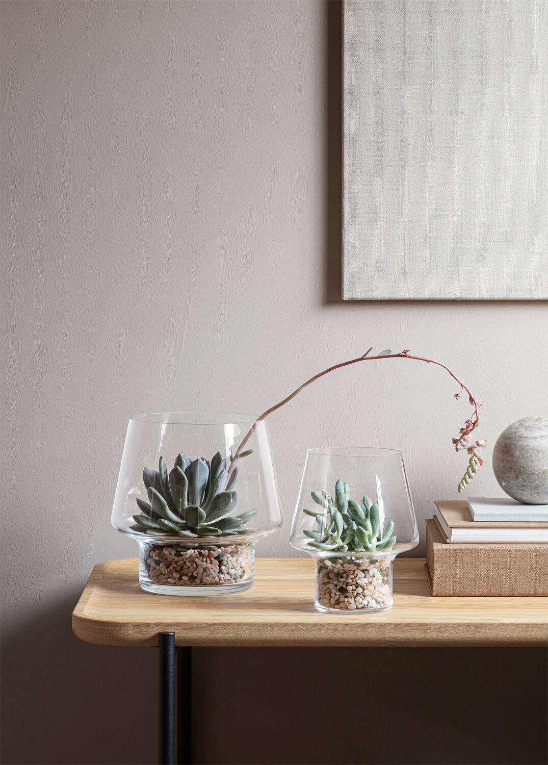 Sukkulent glasvase