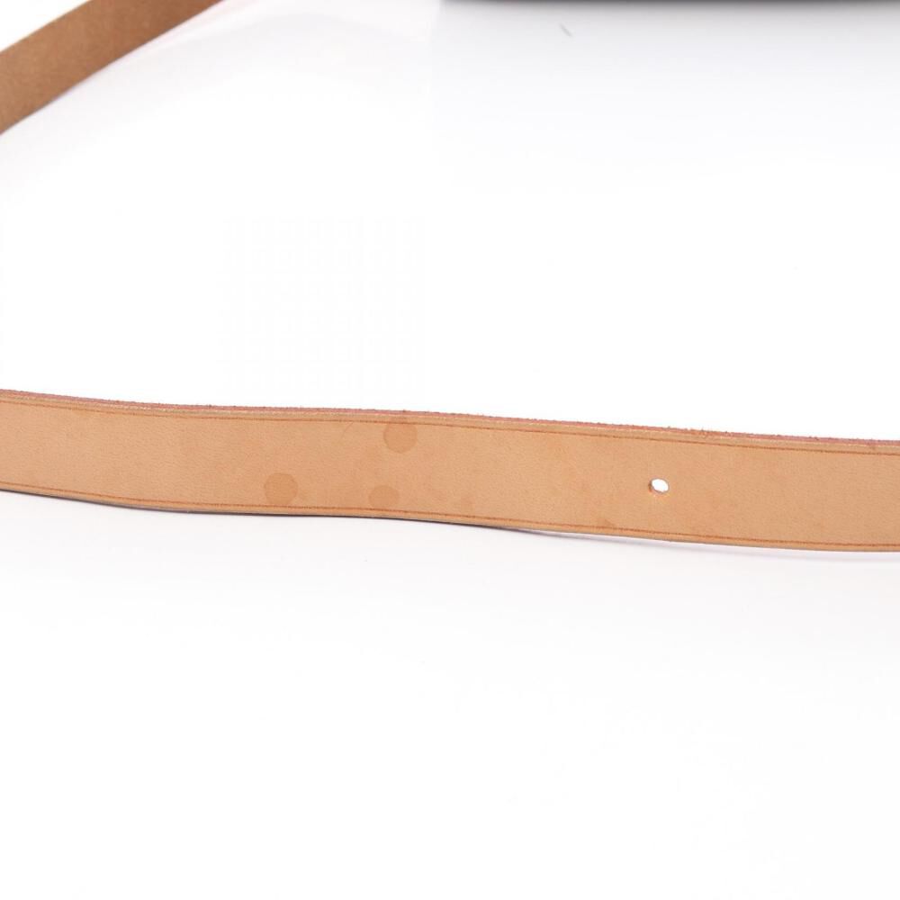 Louis Vuitton Cartouchiere